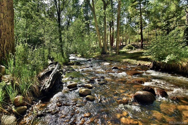 13535 County Road 261c, Nathrop, CO 81236