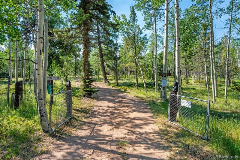 106 Forest Ct, Florissant, CO 80816
