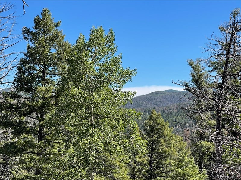 6168 Hoadley Rd, Fort Garland, CO 81133