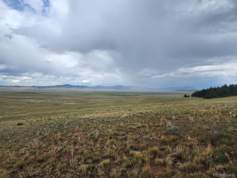 217 Cr 439, Hartsel, CO 80449