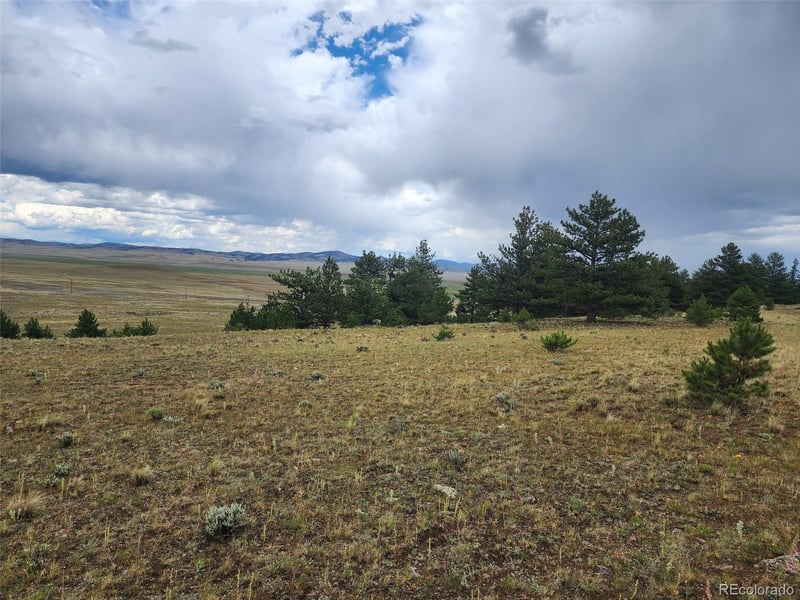 217 Cr 439, Hartsel, CO 80449