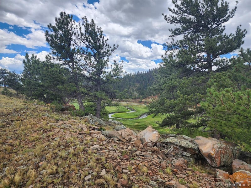 217 Cr 439, Hartsel, CO 80449