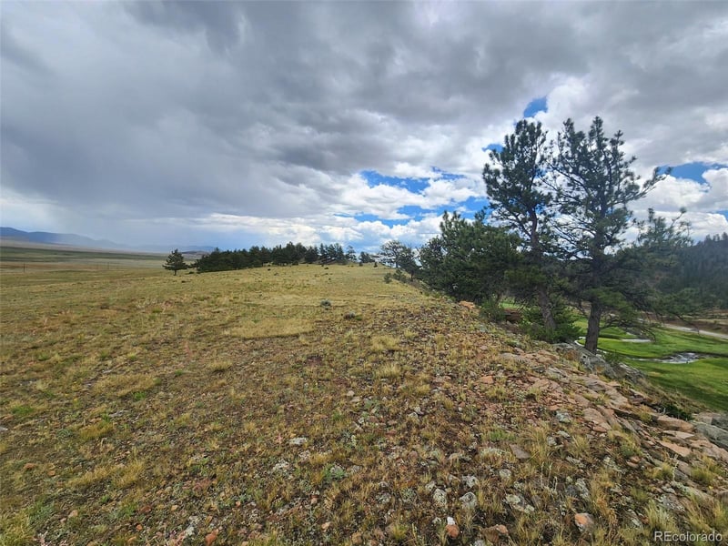 217 Cr 439, Hartsel, CO 80449