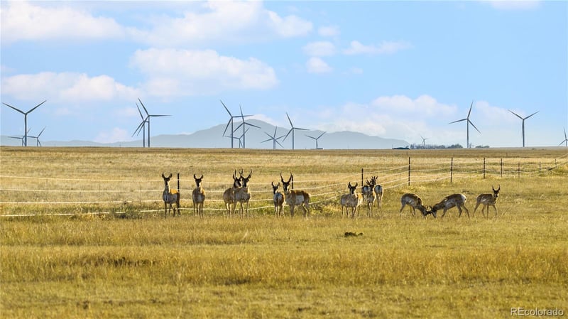 36565 Hanisch Rd, Calhan, CO 80808