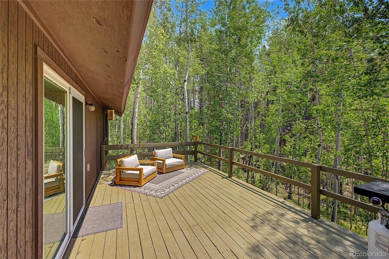 2602 Empire Valley Dr, Leadville, CO 80461