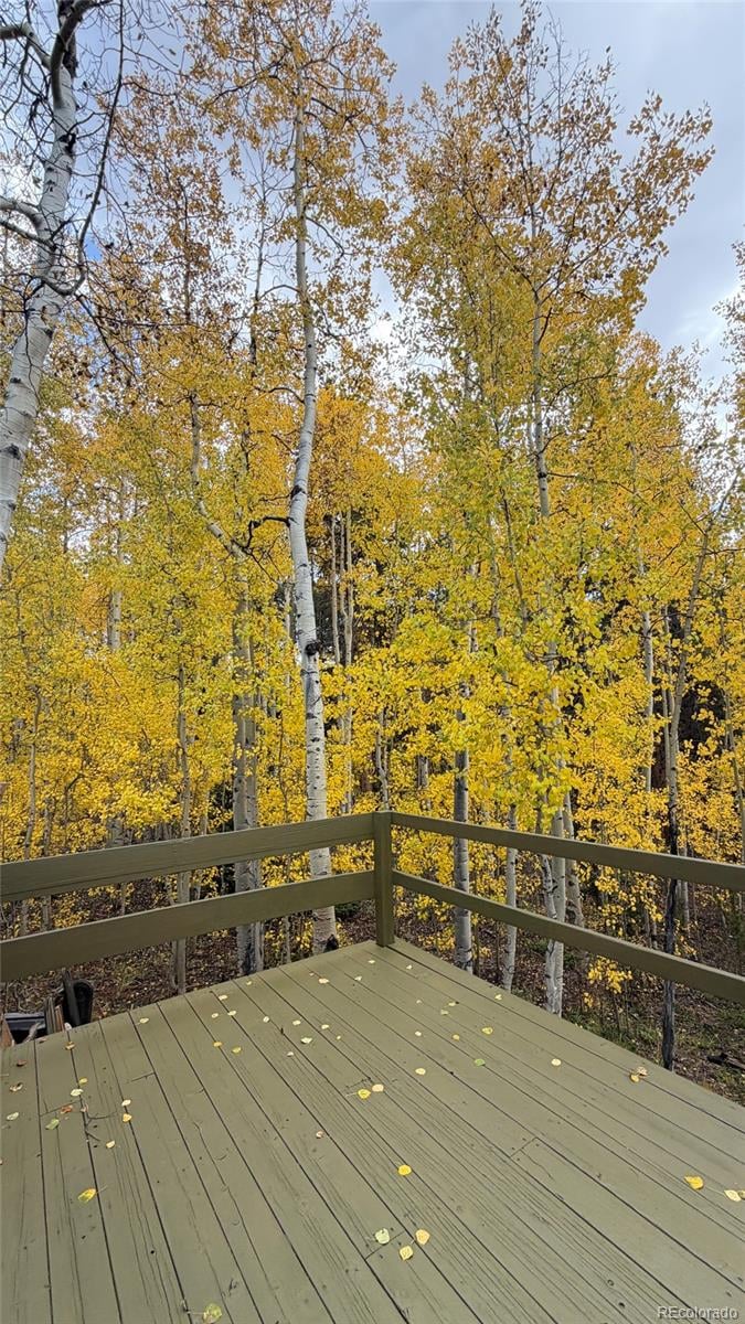 2602 Empire Valley Dr, Leadville, CO 80461
