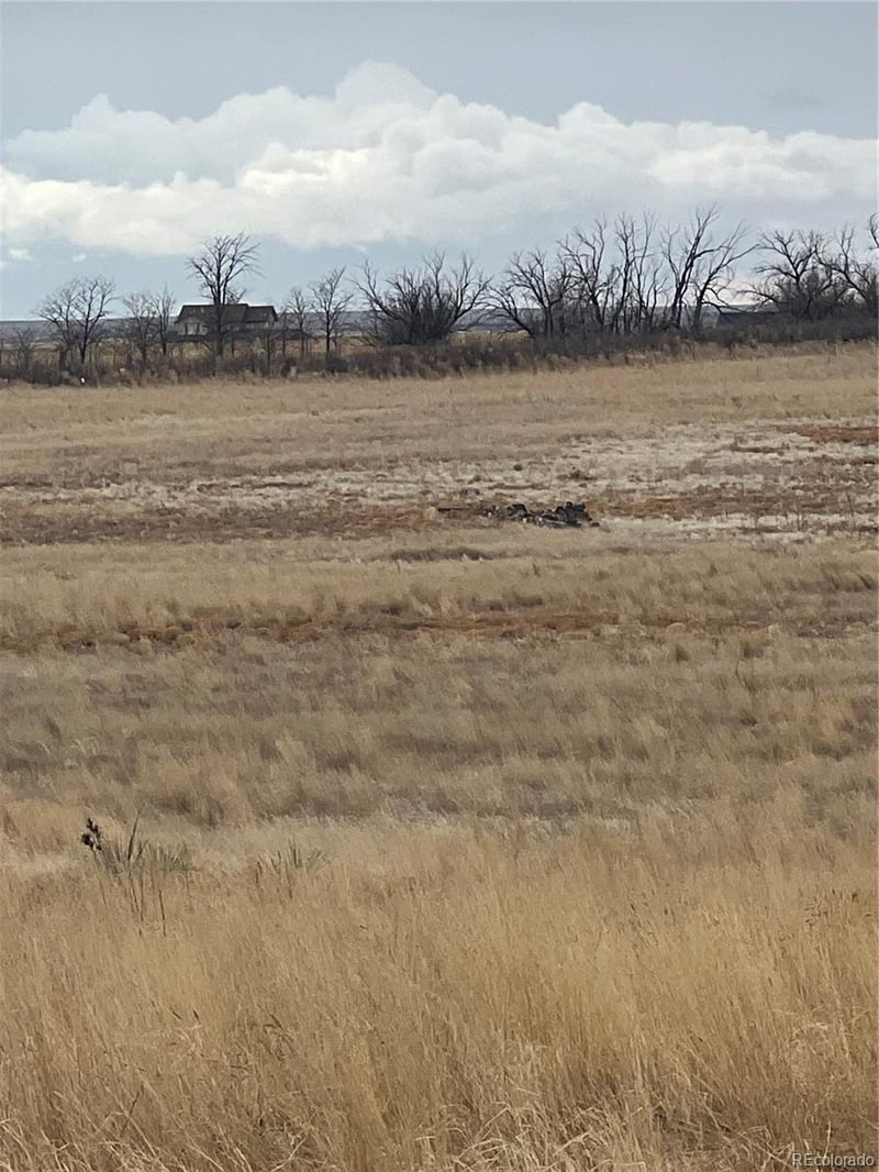 2101 Behrens Rd, Byers, CO 80103