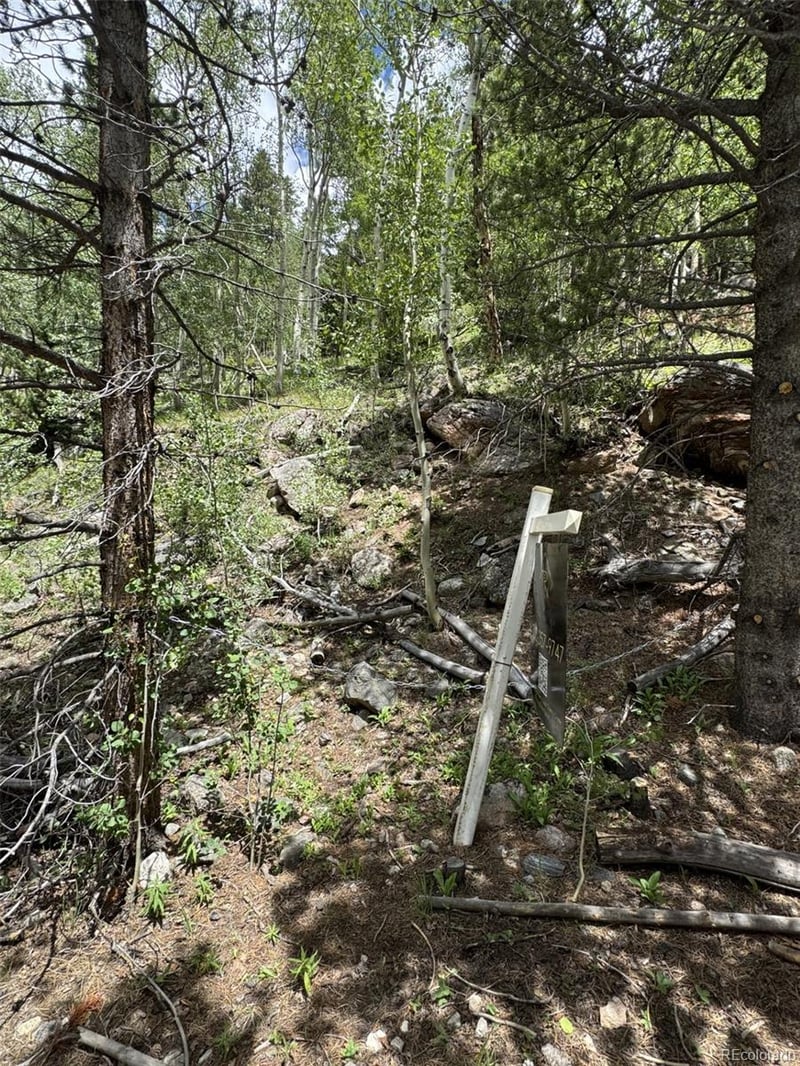 0 Loch Lomond Rd Lot 6, Idaho Springs, CO 80452