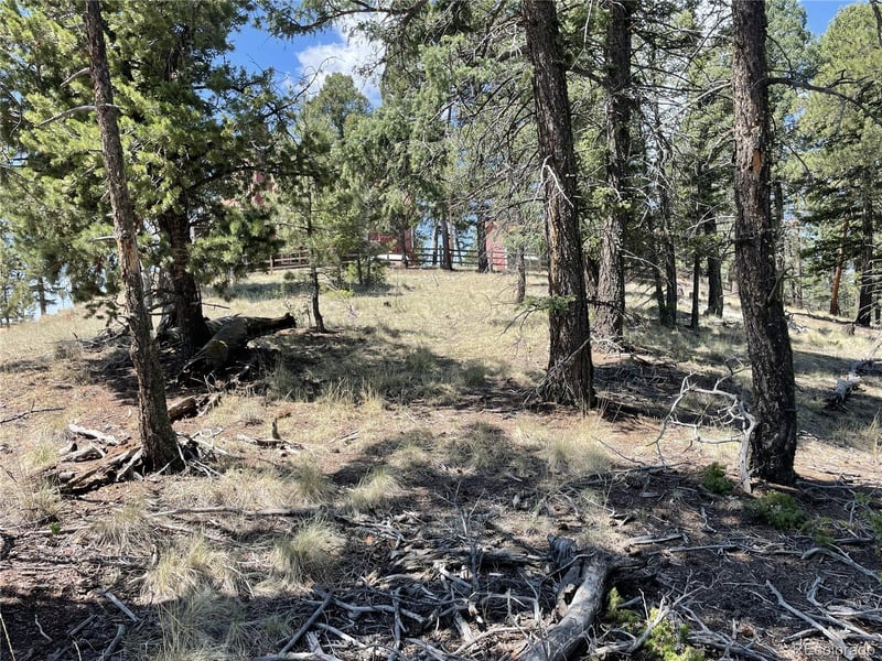 971 Spring Valley Ln Lot 1115, Florissant, CO 80816