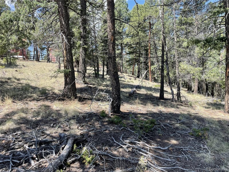 971 Spring Valley Ln Lot 1115, Florissant, CO 80816
