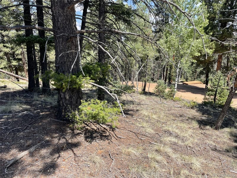971 Spring Valley Ln Lot 1115, Florissant, CO 80816
