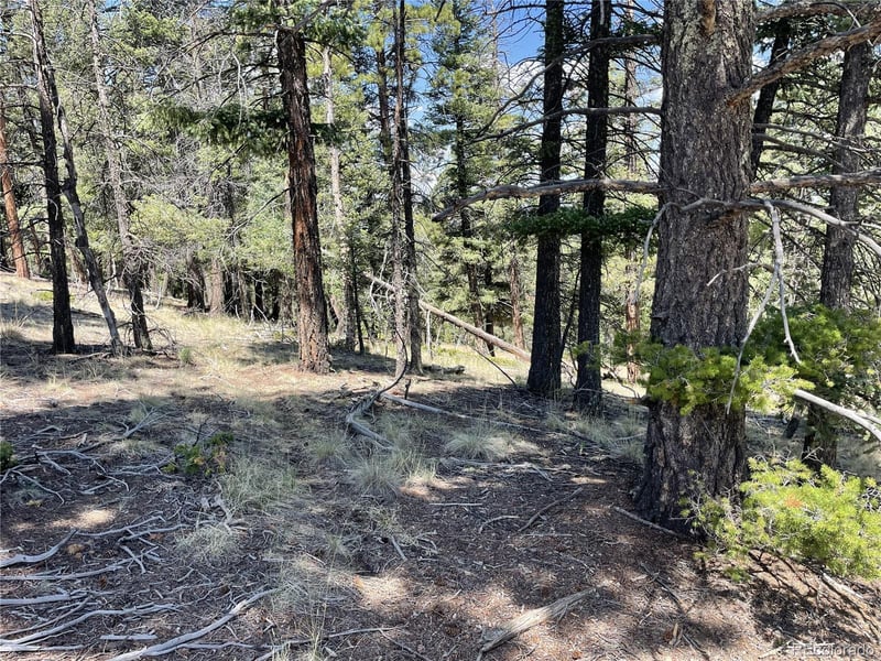 971 Spring Valley Ln Lot 1115, Florissant, CO 80816
