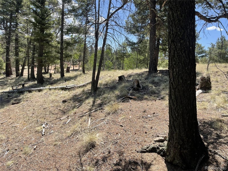971 Spring Valley Ln Lot 1115, Florissant, CO 80816