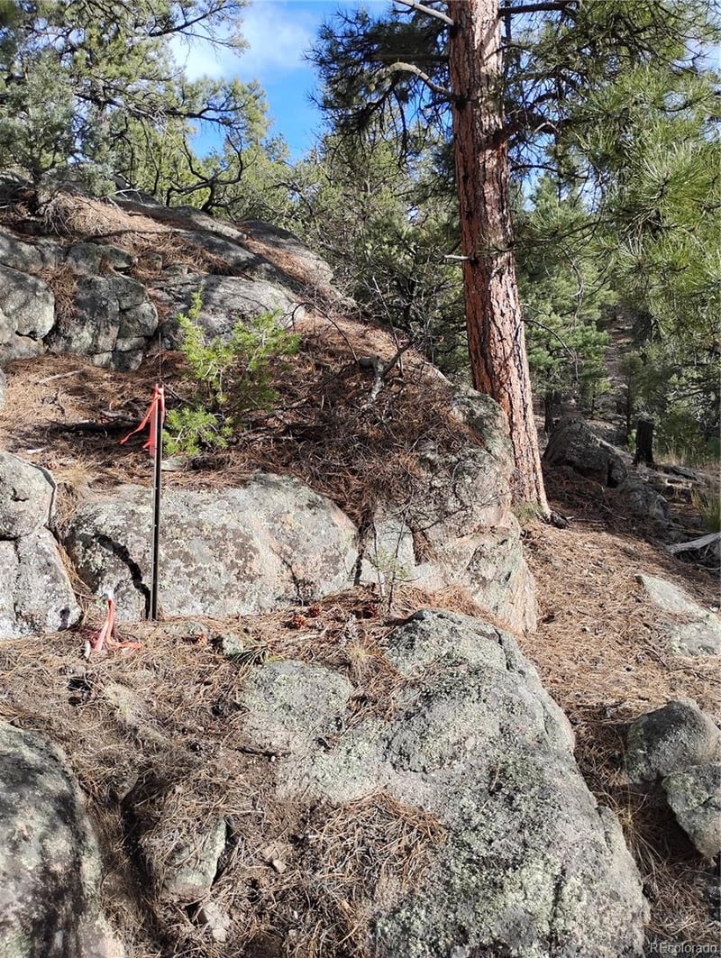 1105 Owens Ln, Cotopaxi, CO 81223
