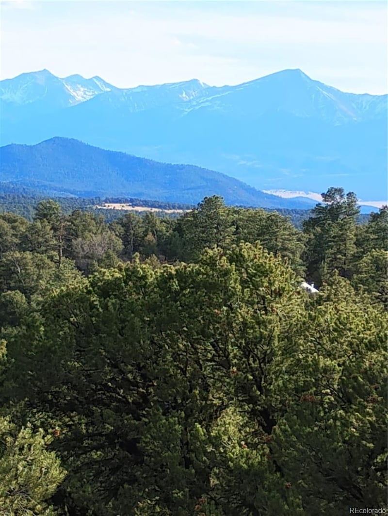 1105 Owens Ln, Cotopaxi, CO 81223