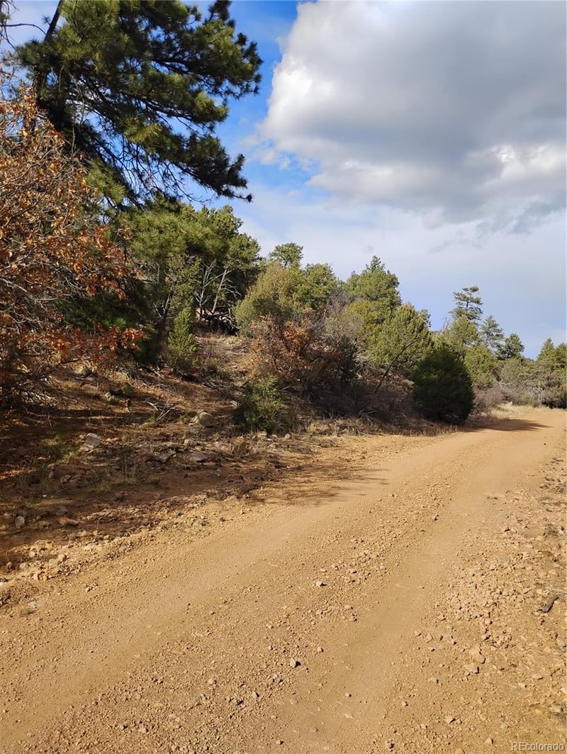 1105 Owens Ln, Cotopaxi, CO 81223