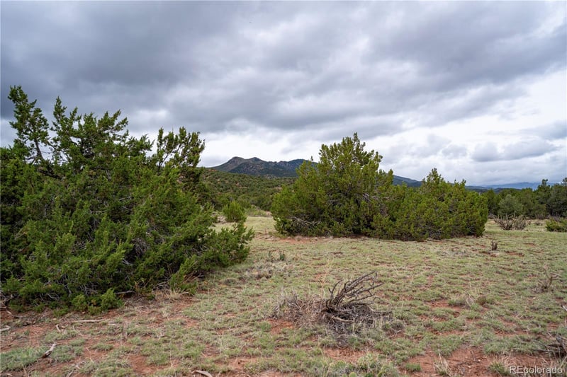 4 Lot Iron Handle Rd, Penrose, CO 81240