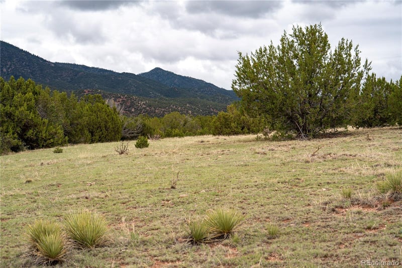 4 Lot Iron Handle Rd, Penrose, CO 81240