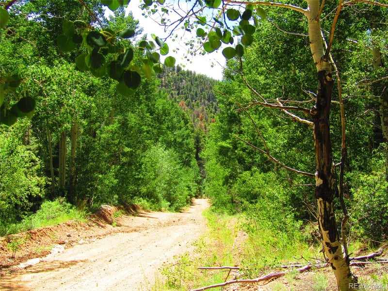 Lot 5526 Joy Rd, Fort Garland, CO 81133