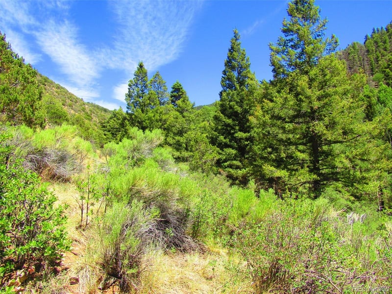 Lot 5526 Joy Rd, Fort Garland, CO 81133