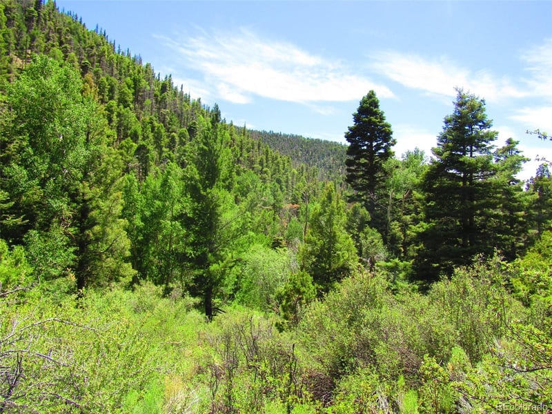 Lot 5526 Joy Rd, Fort Garland, CO 81133