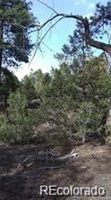 13 Tract 2 Costilla Pl, Alamosa, CO 81101
