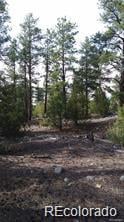 13 Tract 2 Costilla Pl, Alamosa, CO 81101