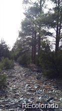 13 Tract 2 Costilla Pl, Alamosa, CO 81101