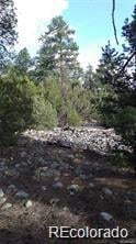 13 Tract 2 Costilla Pl, Alamosa, CO 81101