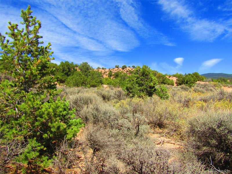 Lot 1617 Juarez Rd, San Luis, CO 81152
