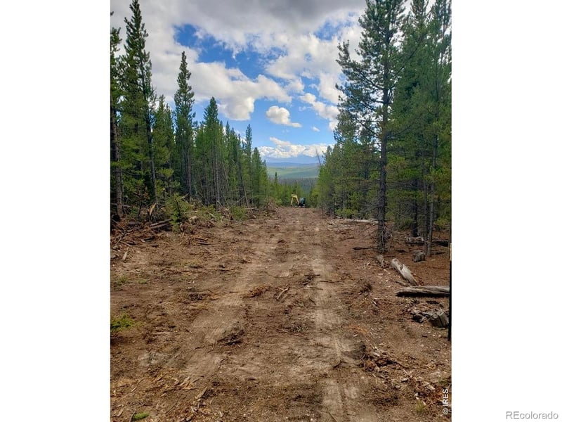 0 Forest Service 169 Lot #15 Rd, Red Feather Lakes, CO 80545