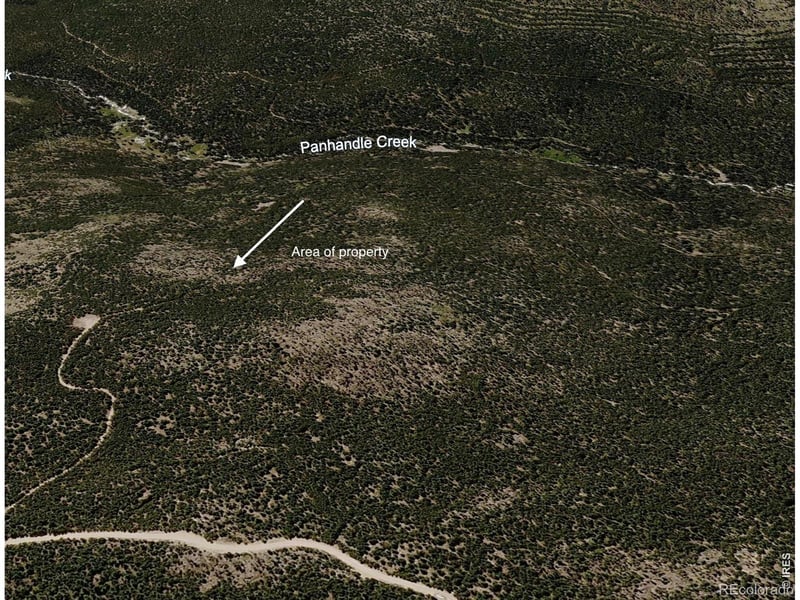 0 Forest Service 169 Lot #15 Rd, Red Feather Lakes, CO 80545