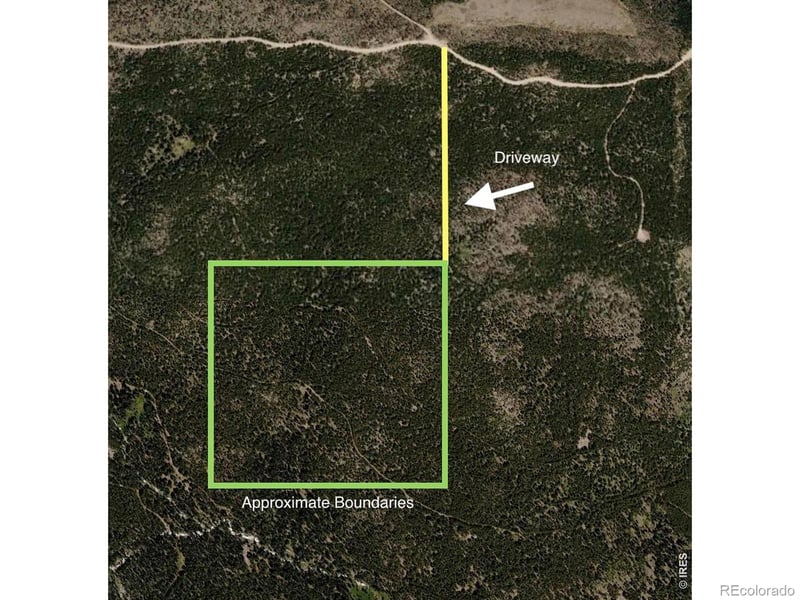 0 Forest Service 169 Lot #10 Rd, Red Feather Lakes, CO 80545