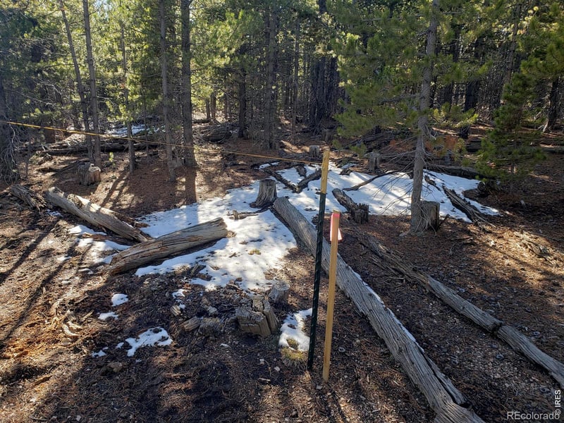 0 Forest Service 169 Lot #10 Rd, Red Feather Lakes, CO 80545