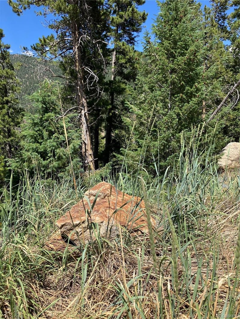 3 Miners Rd, Black Hawk, CO 80422