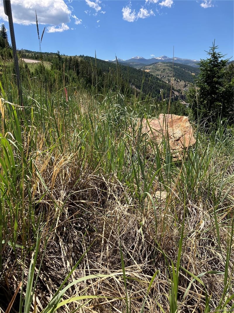 3 Miners Rd, Black Hawk, CO 80422