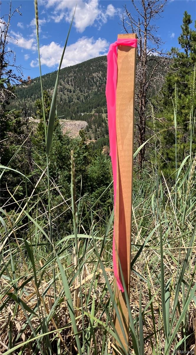 3 Miners Rd, Black Hawk, CO 80422
