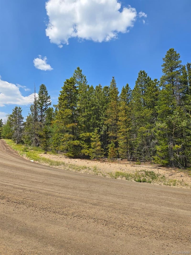 000 Virginia Canyon Rd, Central City, CO 80427