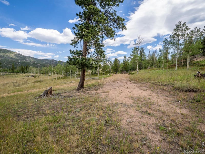 22 Tami Rd, Red Feather Lakes, CO 80545