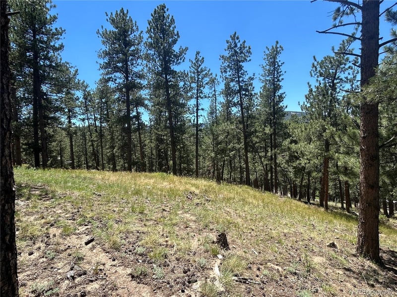 0 Pine Pine, Evergreen, CO 80439