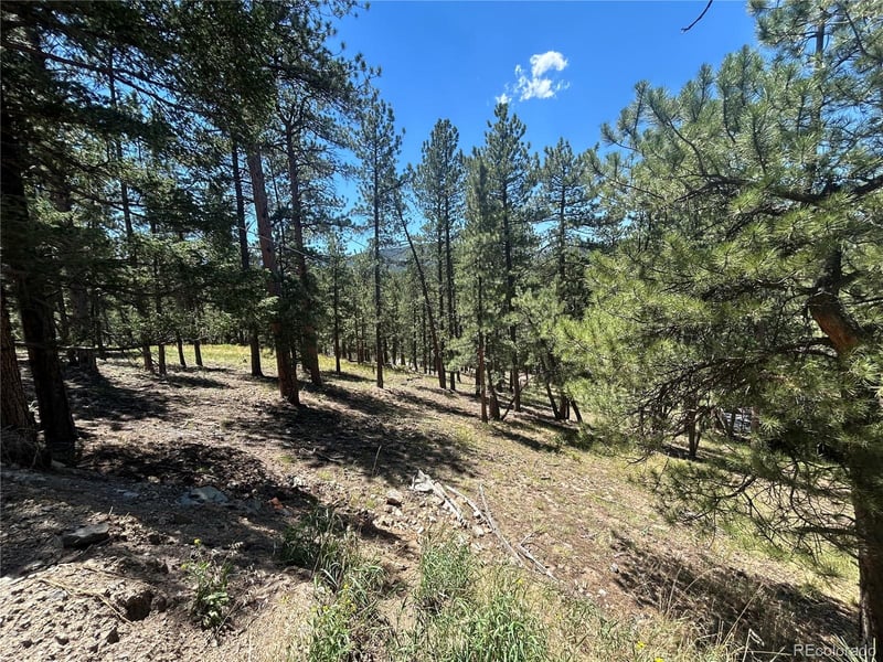 0 Pine Pine, Evergreen, CO 80439