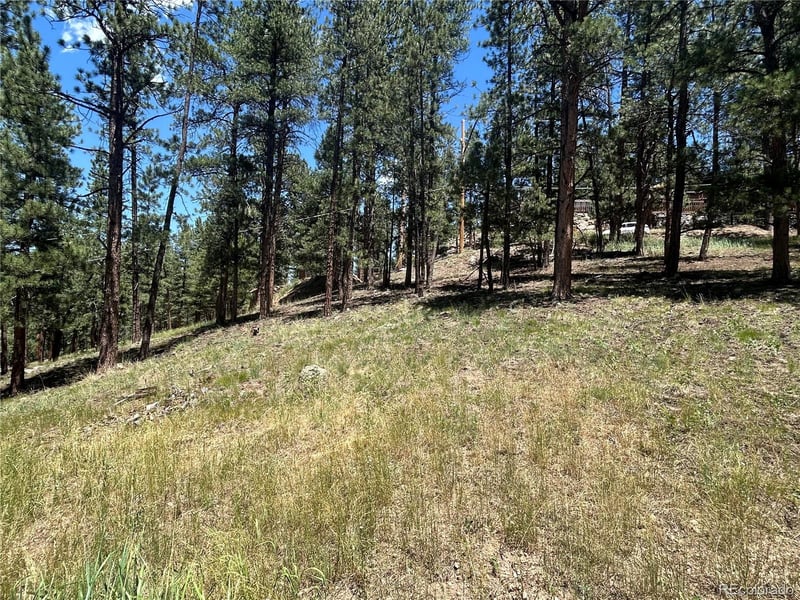 0 Pine Pine, Evergreen, CO 80439
