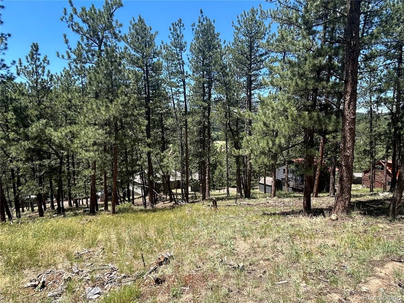 0 Pine Pine, Evergreen, CO 80439