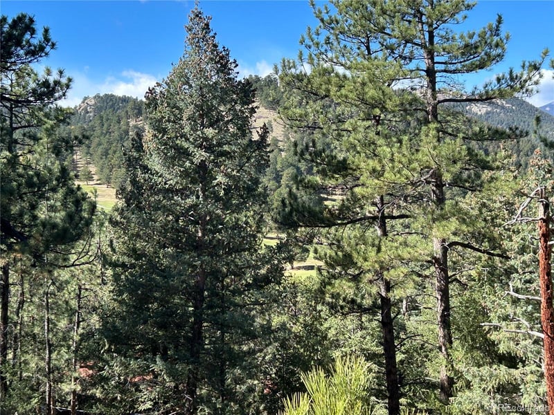 00 Pine Rd, Evergreen, CO 80439
