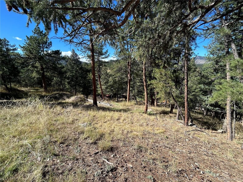 00 Pine Rd, Evergreen, CO 80439