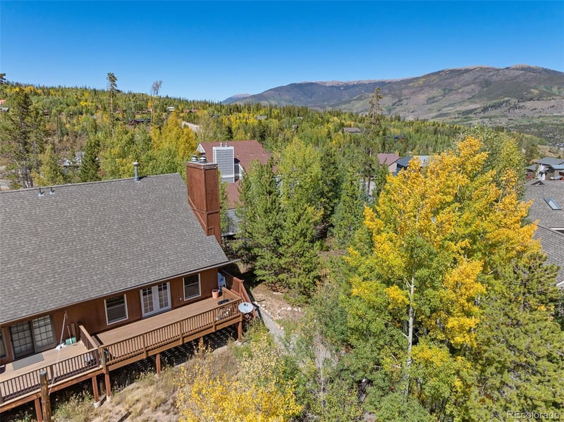 41 Poplar Cir, Silverthorne, CO 80498