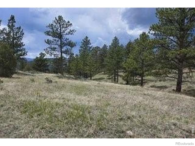 94 Culebra Peak Ct, Livermore, CO 80536