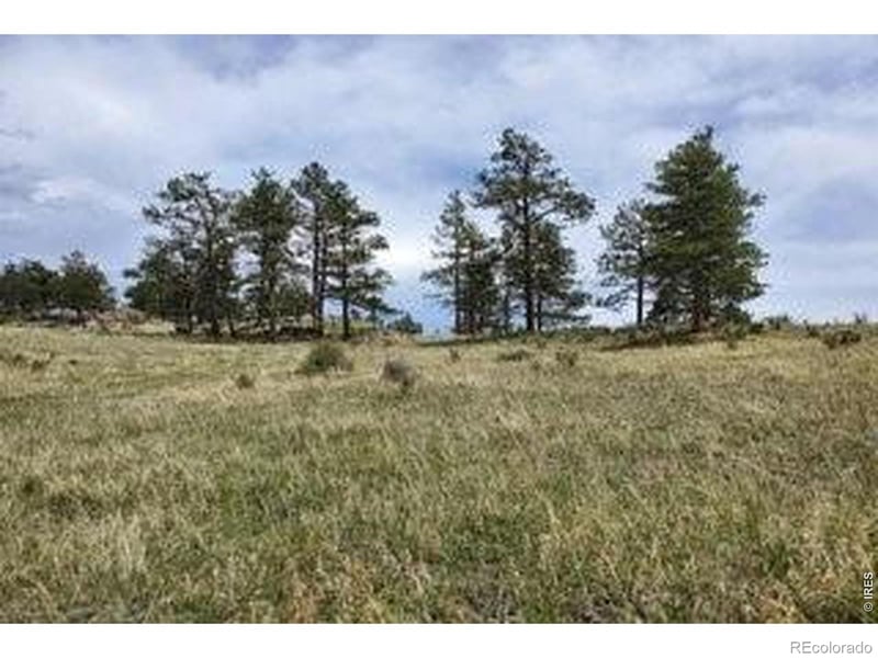 94 Culebra Peak Ct, Livermore, CO 80536