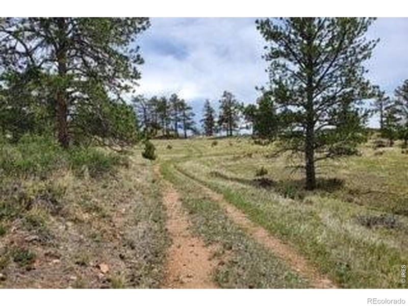 94 Culebra Peak Ct, Livermore, CO 80536
