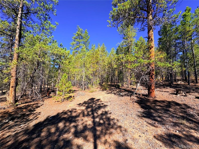 323 Aspen Dr Lot 272, Leadville, CO 80461